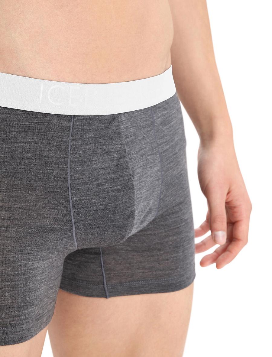 Icebreaker Cool-Lite™ Merino Anatomica Boxers Férfi Fehérnemű Taupe | HU 1319VRWD